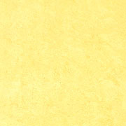 �ץ�ߥ� CL-622
