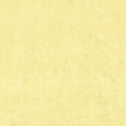 �ץ�ߥ� CL-623