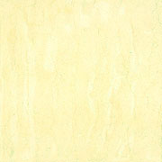 �ץ�ߥ� CP-621